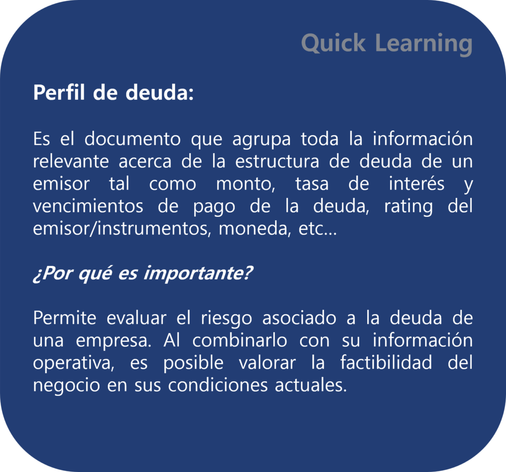 Debt profile, perfil de deuda, conceptos financieros